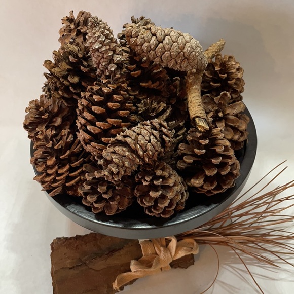 ❗5 For $2️⃣5️⃣ Bundle Sale❗️ Natural Source Pine Cones ~ Bag of 24 for Crafting - Picture 5 of 10